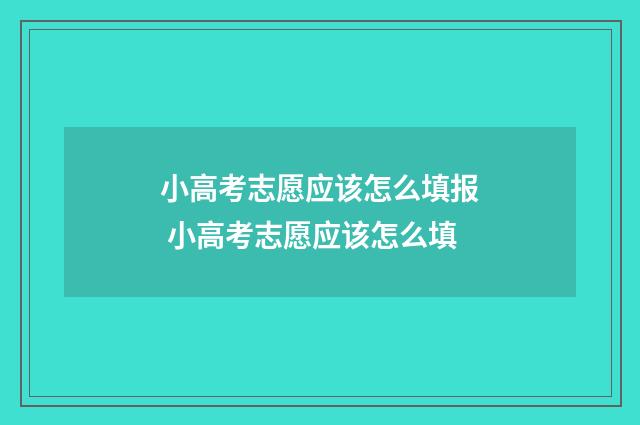 小高考志愿应该怎么填报 小高考志愿应该怎么填
