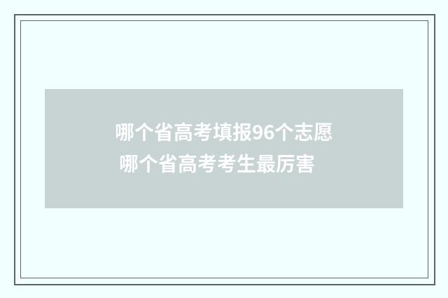 哪个省高考填报96个志愿 哪个省高考考生最厉害