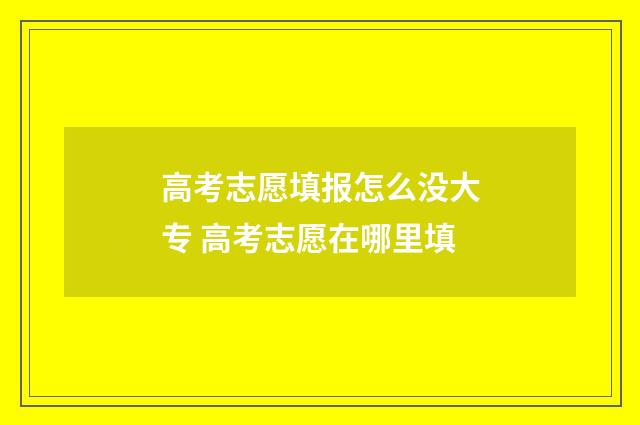高考志愿填报怎么没大专 高考志愿在哪里填