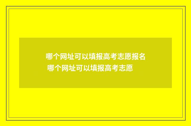 哪个网址可以填报高考志愿报名 哪个网址可以填报高考志愿