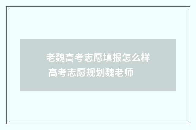 老魏高考志愿填报怎么样 高考志愿规划魏老师