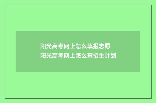 阳光高考网上怎么填报志愿 阳光高考网上怎么查招生计划