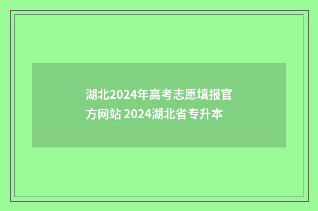 湖北2024年高考志愿填报官方网站 2024湖北省专升本