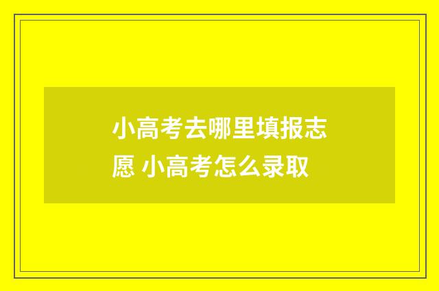 小高考去哪里填报志愿 小高考怎么录取