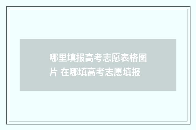 哪里填报高考志愿表格图片 在哪填高考志愿填报