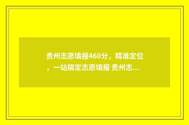 贵州志愿填报460分,精准定位,一站搞定志愿填报 贵州志愿填报辅助系统