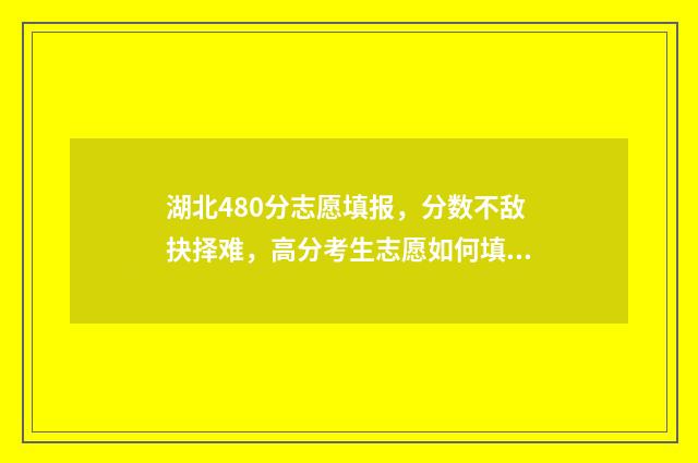 湖北480分志愿填报,分数不敌抉择难,高分考生志愿如何填? 湖北高考480分