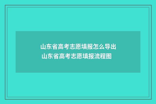 山东省高考志愿填报怎么导出 山东省高考志愿填报流程图