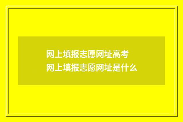 网上填报志愿网址高考 网上填报志愿网址是什么