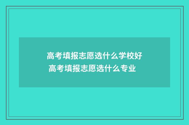 高考填报志愿选什么学校好 高考填报志愿选什么专业