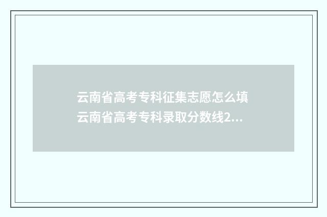 云南省高考专科征集志愿怎么填 云南省高考专科录取分数线2024