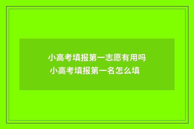小高考填报第一志愿有用吗 小高考填报第一名怎么填