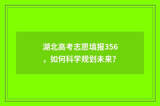 湖北高考志愿填报356，如何科学规划未来？