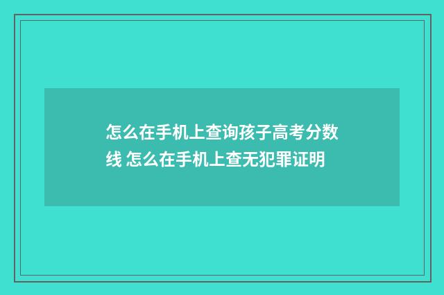 怎么在手机上查询孩子高考分数线 怎么在手机上查无犯罪证明