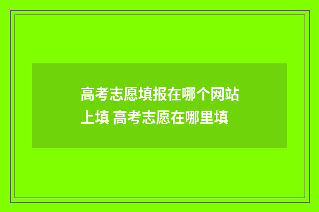 高考志愿填报在哪个网站上填 高考志愿在哪里填