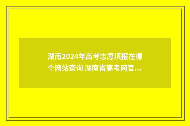 湖南2024年高考志愿填报在哪个网站查询 湖南省高考网官网