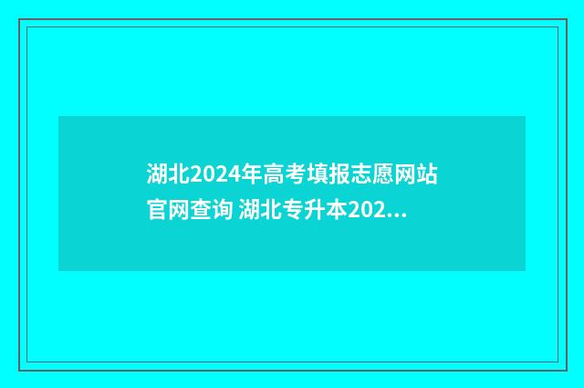湖北2024年高考填报志愿网站官网查询 湖北专升本2024年政策