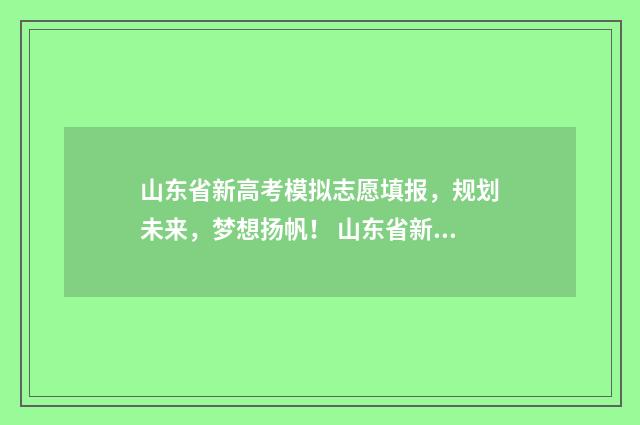山东省新高考模拟志愿填报，规划未来，梦想扬帆！ 山东省新高考模拟考试试题