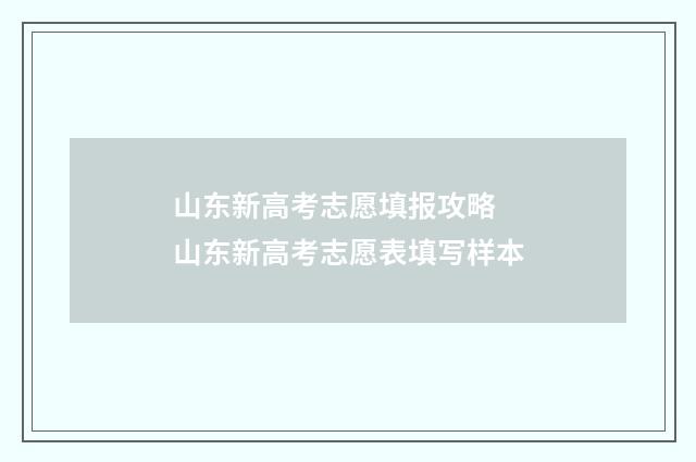 山东新高考志愿填报攻略 山东新高考志愿表填写样本