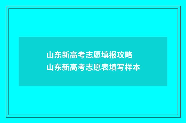 山东新高考志愿填报攻略 山东新高考志愿表填写样本