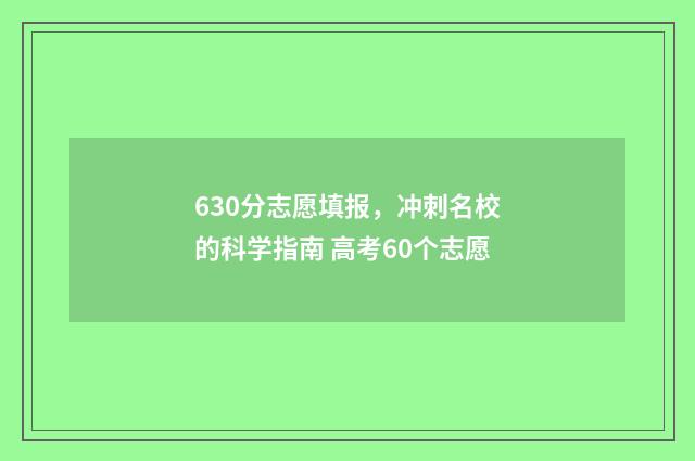 630分志愿填报,冲刺名校的科学指南 高考60个志愿