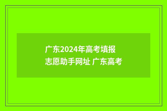 广东2024年高考填报志愿助手网址 广东高考