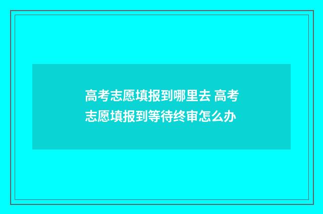 高考志愿填报到哪里去 高考志愿填报到等待终审怎么办