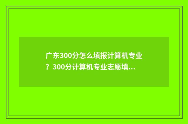 广东300分怎么填报计算机专业？300分计算机专业志愿填报指南 广东省300分能上什么