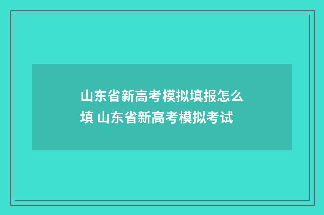 山东省新高考模拟填报怎么填 山东省新高考模拟考试