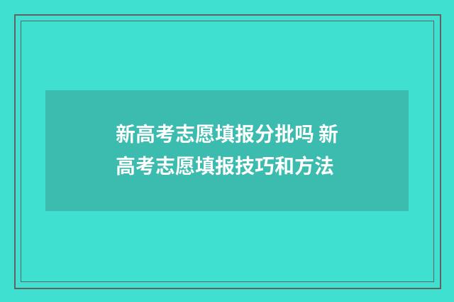 新高考志愿填报分批吗 新高考志愿填报技巧和方法
