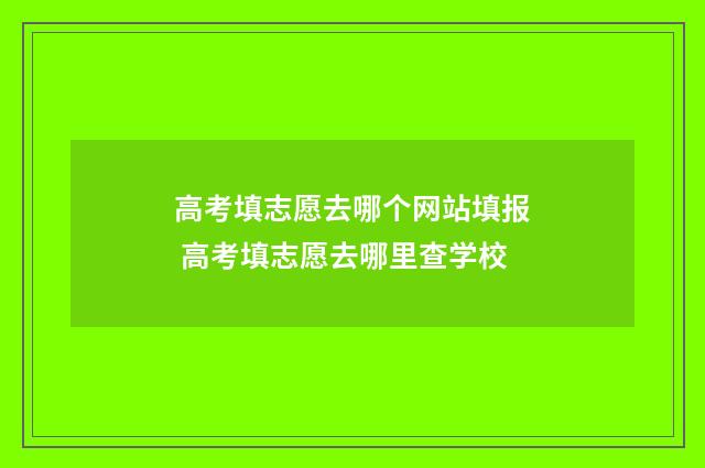 高考填志愿去哪个网站填报 高考填志愿去哪里查学校