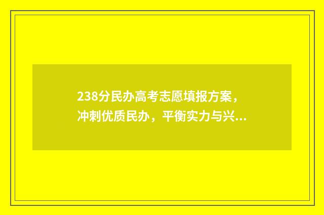 238分民办高考志愿填报方案，冲刺优质民办，平衡实力与兴趣 民办多少分