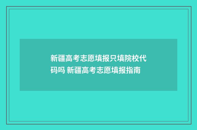 新疆高考志愿填报只填院校代码吗 新疆高考志愿填报指南
