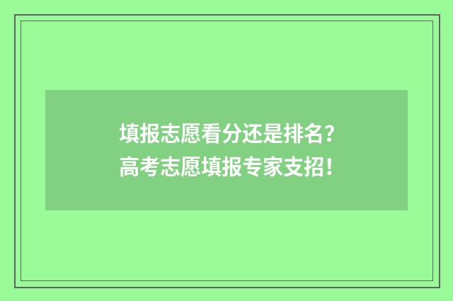 填报志愿看分还是排名？高考志愿填报专家支招！