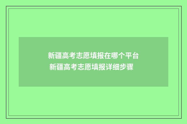 新疆高考志愿填报在哪个平台 新疆高考志愿填报详细步骤