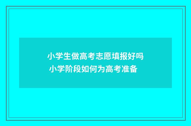 小学生做高考志愿填报好吗 小学阶段如何为高考准备