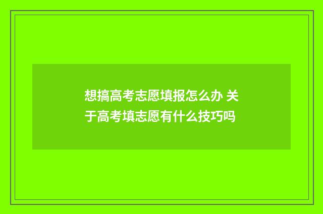 想搞高考志愿填报怎么办 关于高考填志愿有什么技巧吗