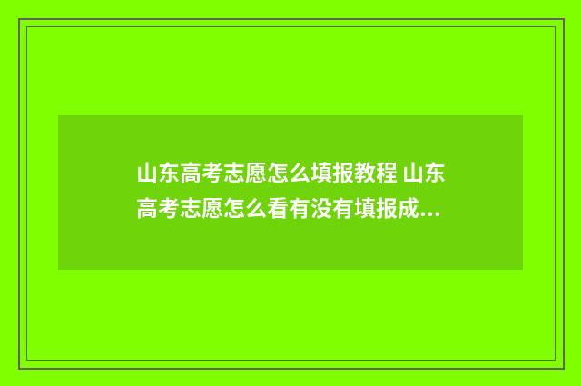 山东高考志愿怎么填报教程 山东高考志愿怎么看有没有填报成功