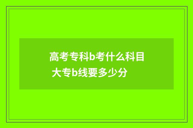 高考专科b考什么科目 大专b线要多少分