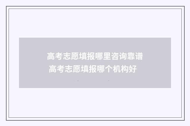 高考志愿填报哪里咨询靠谱 高考志愿填报哪个机构好