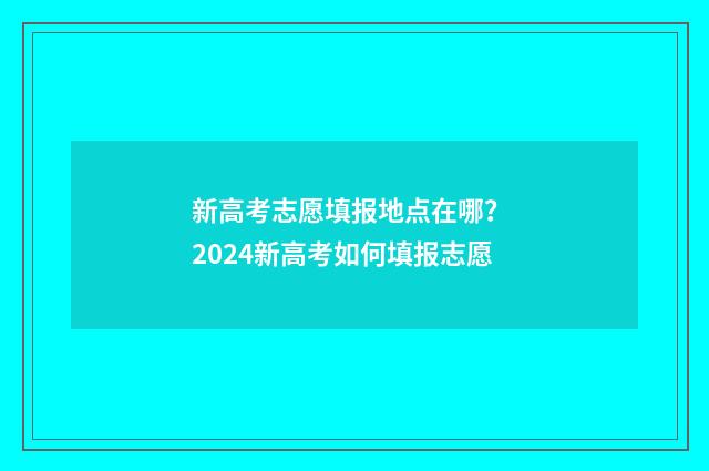 新高考志愿填报地点在哪？ 2024新高考如何填报志愿