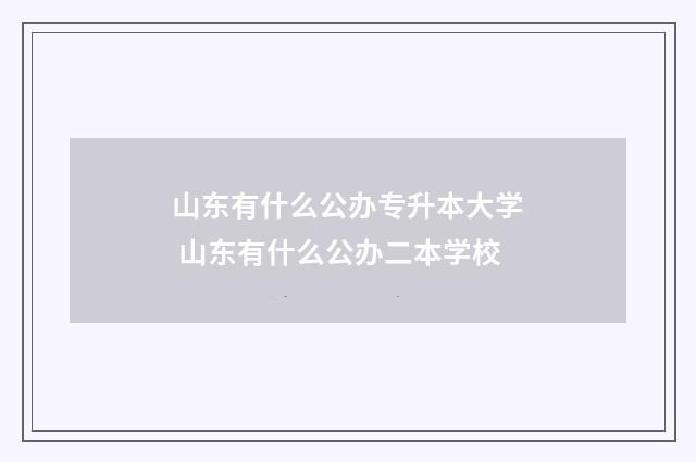 山东有什么公办专升本大学 山东有什么公办二本学校