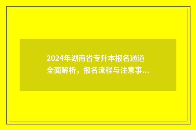 2024年湖南省专升本报名通道全面解析，报名流程与注意事项 2024年湖南省专科征集志愿