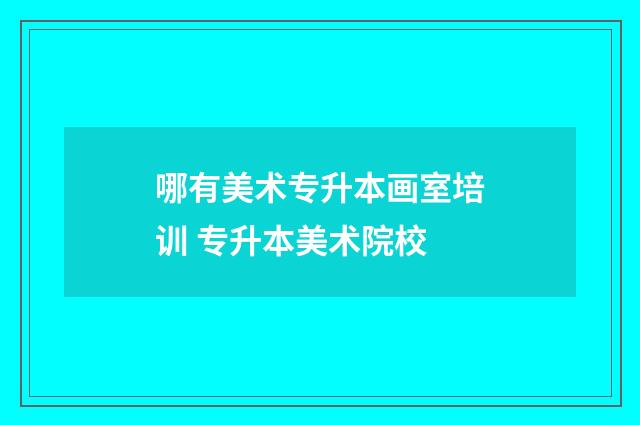 哪有美术专升本画室培训 专升本美术院校