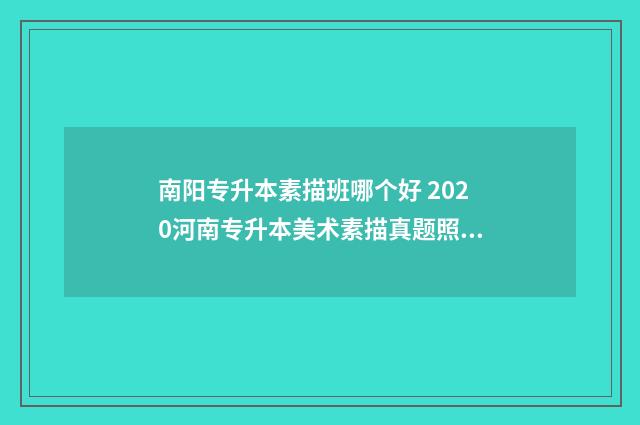 南阳专升本素描班哪个好 2020河南专升本美术素描真题照片