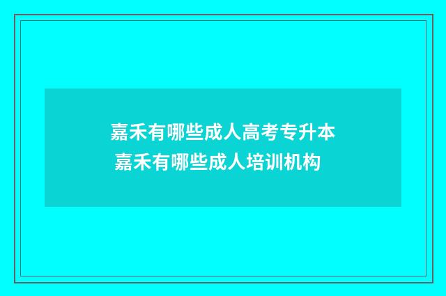 嘉禾有哪些成人高考专升本 嘉禾有哪些成人培训机构