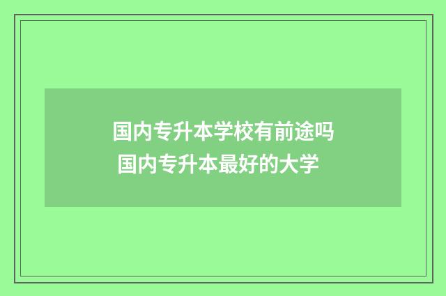 国内专升本学校有前途吗 国内专升本最好的大学