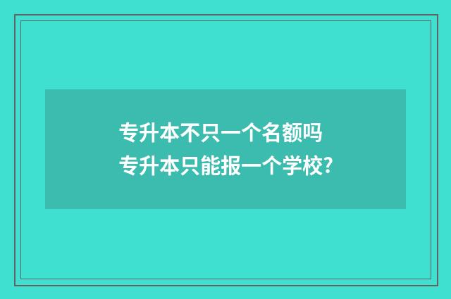 专升本不只一个名额吗 专升本只能报一个学校?