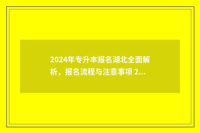2024年专升本报名湖北全面解析,报名流程与注意事项 2024年专升本报考人数