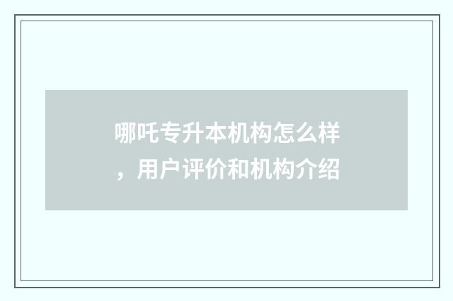 哪吒专升本机构怎么样，用户评价和机构介绍